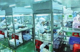 邵阳 企业软件开发的创新实践者