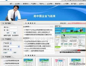 专业软件开发服务与知识产权保护